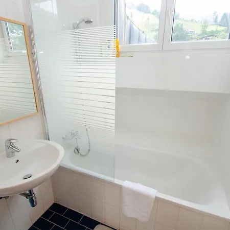 Cityxpress 18 - Near Lift And Town * Zell am See