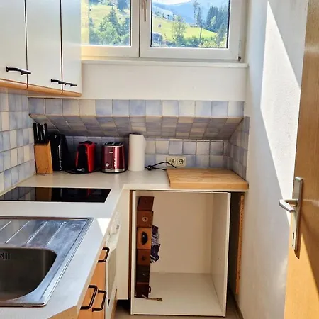 Cityxpress 18 - Near Lift And Town Zell am See